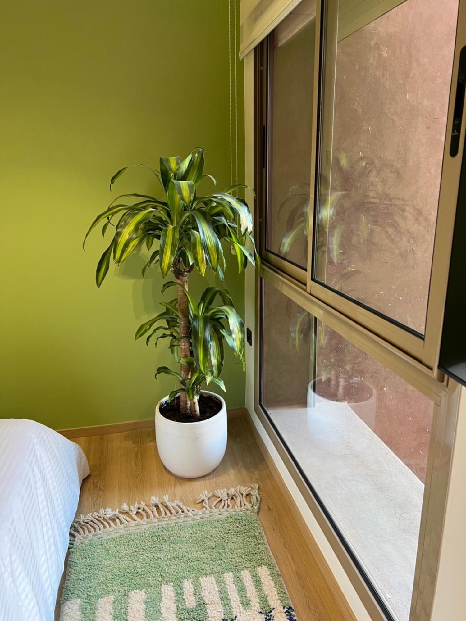 Luxe Appartement A Louer Pour Les Familles 马拉喀什 外观 照片